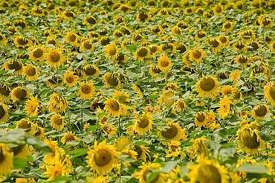 复古射击类肉鸽游戏《劣质品》现已推出试玩Demo 预计2024年第四季度正式发布